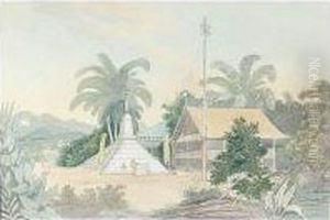 A Group Of Watercolours Of Borneo by Charles Hamilton Smith