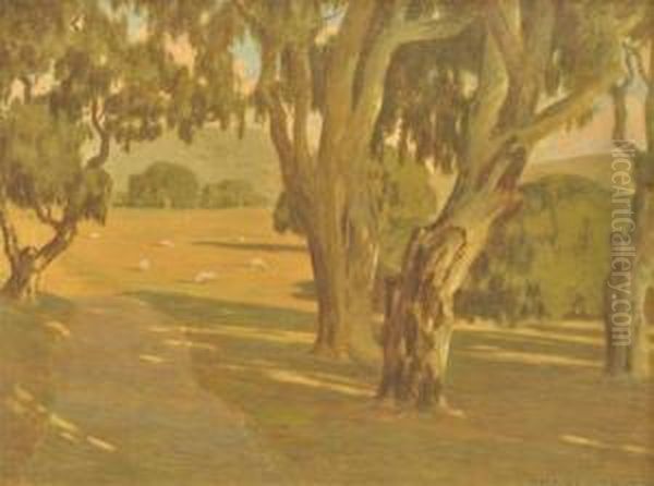 Landscape Witheucalyptus Trees And Grazing Sheep - view 1