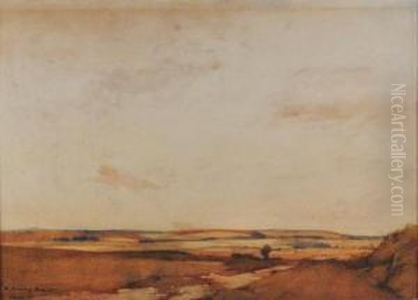 Landscape - view 1