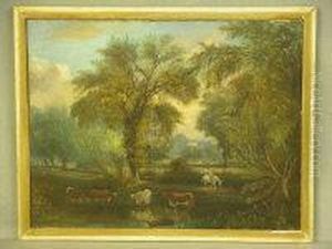 Sylvan Landscape