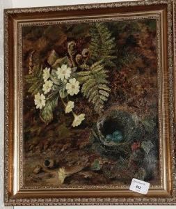 Primroses, Ferns And A Birds Nest On A Mossybank