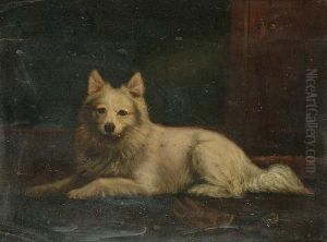 Portrait Of A White Collie