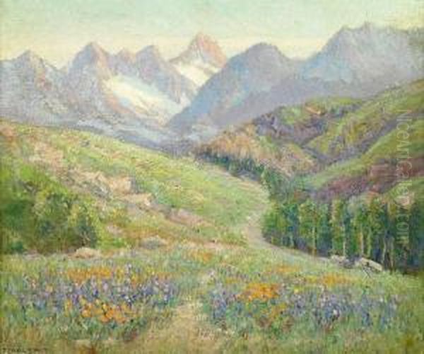 Spring Landscape - view 1