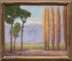 'owens Valley Near Bishof Calif. - Poplars And Mt. Tam,''
