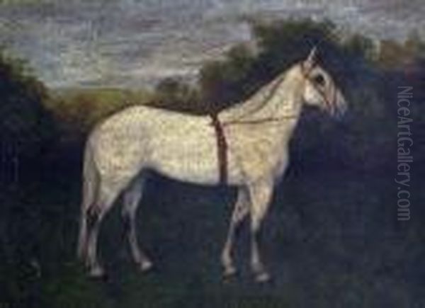 Lady R, Study Of A Racehorse - view 1