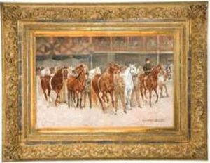 Horse Show