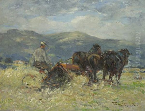 Harvesting - view 1