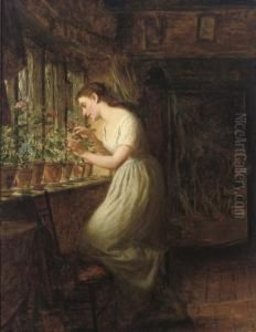 Tending To The Geraniums