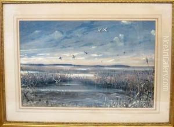 Marsh Scene With Ducks - view 1