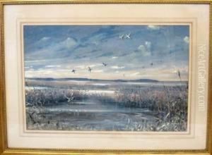Marsh Scene With Ducks by Graham Smith