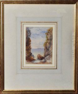 A Rock Pool by James Burrell-Smith