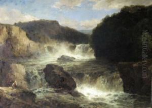 The Salmon Stream