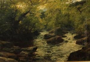 Woodland Falls