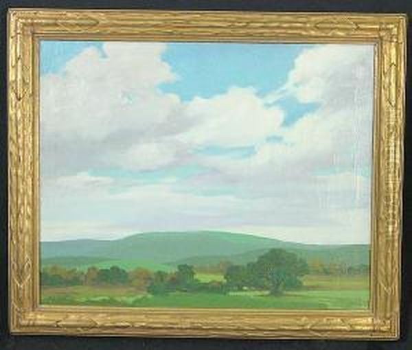 Green Landscape Near Salinas - view 1