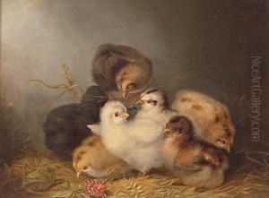 Seven Chicks by Mary Russell Smith