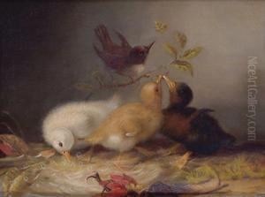 The Intruder by Mary Russell Smith
