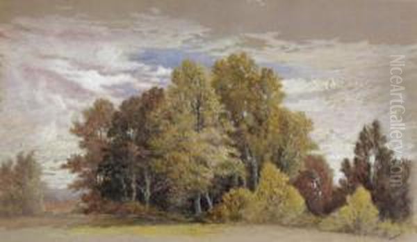 Landscape - view 1