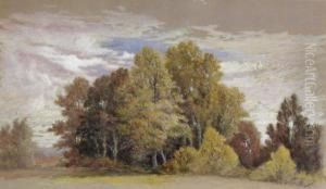 Landscape by Thomas Lochlan Smith