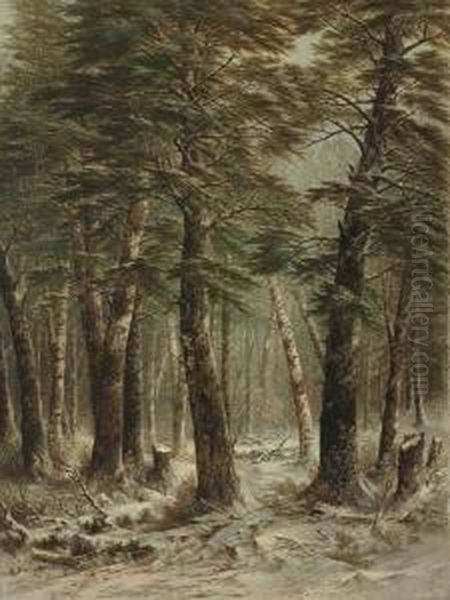 ''woods In Winter'' - view 1