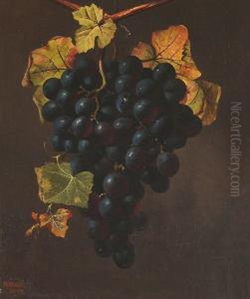 Still Life Of Grapes - view 1