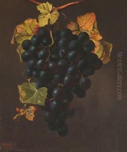 Still Life Of Grapes by W.H. Smith