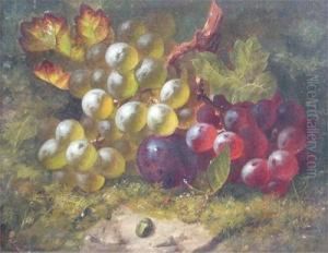 Still Life Of Grapes On A Mossy Bank Still Life Of Grapes On A Mossy Bank