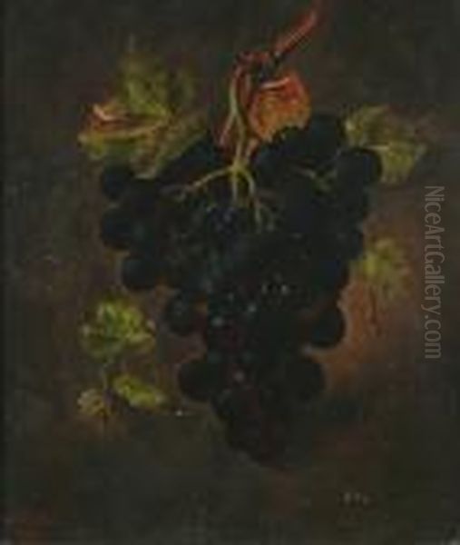 Still Life Of Grapes - view 1