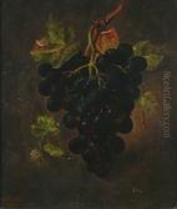 Still Life Of Grapes Still Life Of Grapes