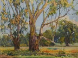 Crossley , Untitled Landscape by George Salisbury Smithard