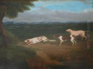 Three Hounds On A Scent by James Smyth