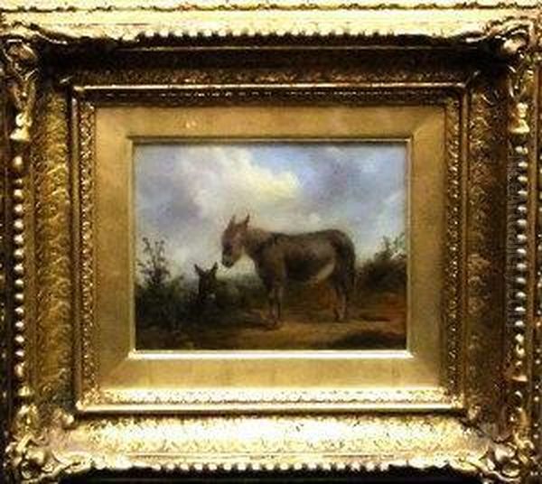 Two Donkeys - view 1