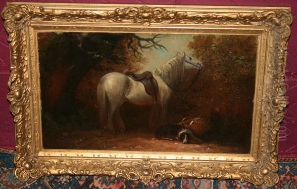 Woodland Scene With A Grey Horse And A Dog - view 1