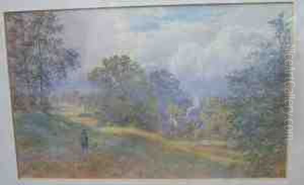 Sunlitlandscape - view 1