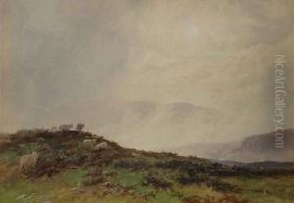 Sheep In A Moorland Landscape - view 1