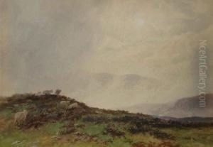 Sheep In A Moorland Landscape by Martin Snape