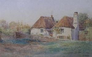 A Thatchedcottage