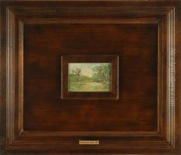 Spring Landscape - view 1