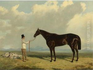 Retriever, A Liver Chestnut Being Held By A Groom by John Wray Snow