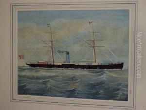 Blue Funnel Line, Steam And Sail, 's.s. Agamemnon'