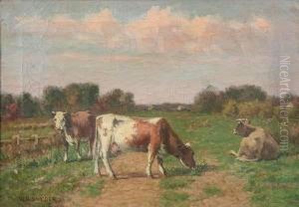 Cows In The Pasture - view 1