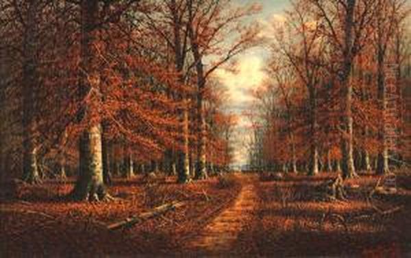 Path Through A Southern Indiana Beech Woods - view 1
