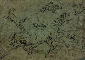 Etudes De Chiens