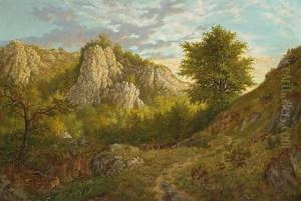 A Rocky Landscape With Trees - view 1
