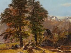 View Of The Black Forest Or Tyrolean Landscape