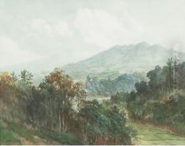 Overlooking An Indonesian River Landscape - view 1