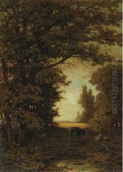 Cattle On A Forestpath - view 1