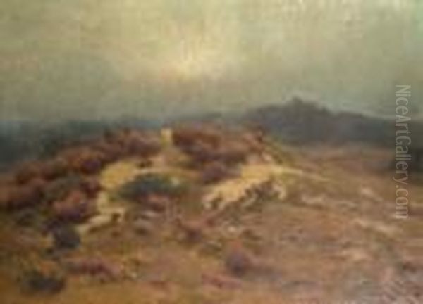 Paesaggio Nebbioso - view 1