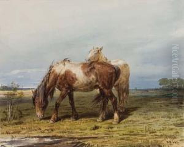 Two Horses In A Field - view 1
