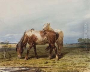 Two Horses In A Field by Pyotr Fyodorovich Sokolov