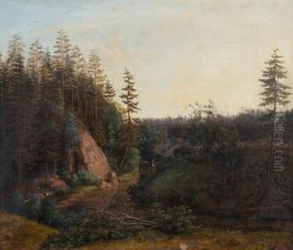 Forest Creek - view 1